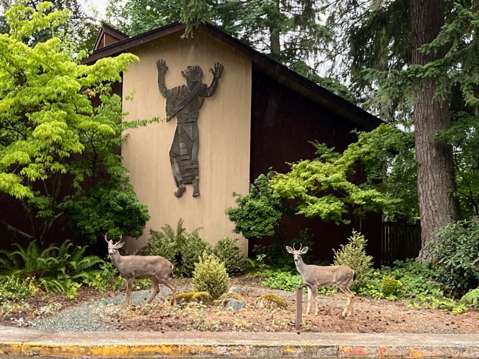 Deer and Jesus